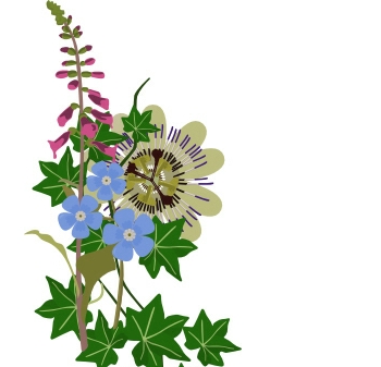 Flower Show