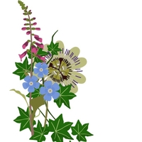 Thumbnail of Flower Show
